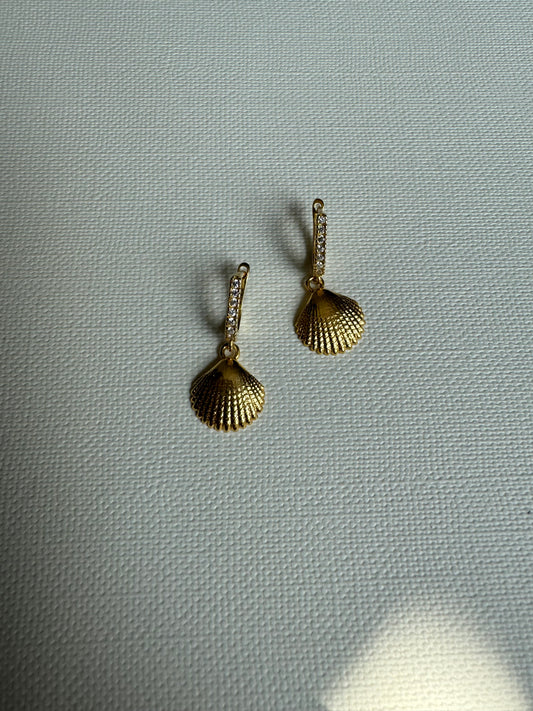 Oyster Earrings