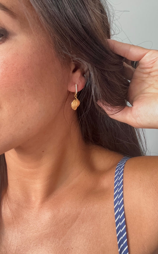 Sea-Shell Earrings